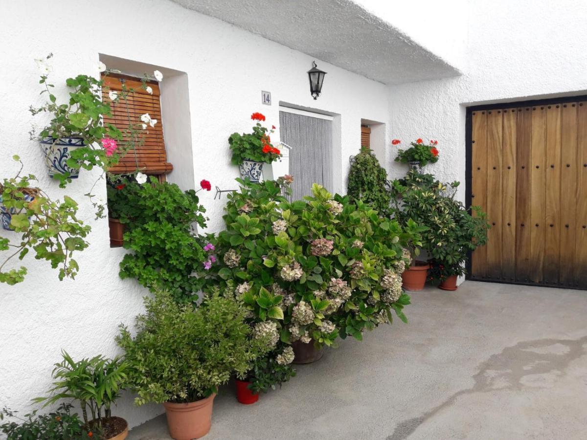 Casa La Huerta Apartamento Bubión Exterior foto